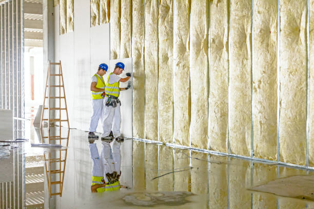 Best Energy Efficiency Solutions in Aurora, CO